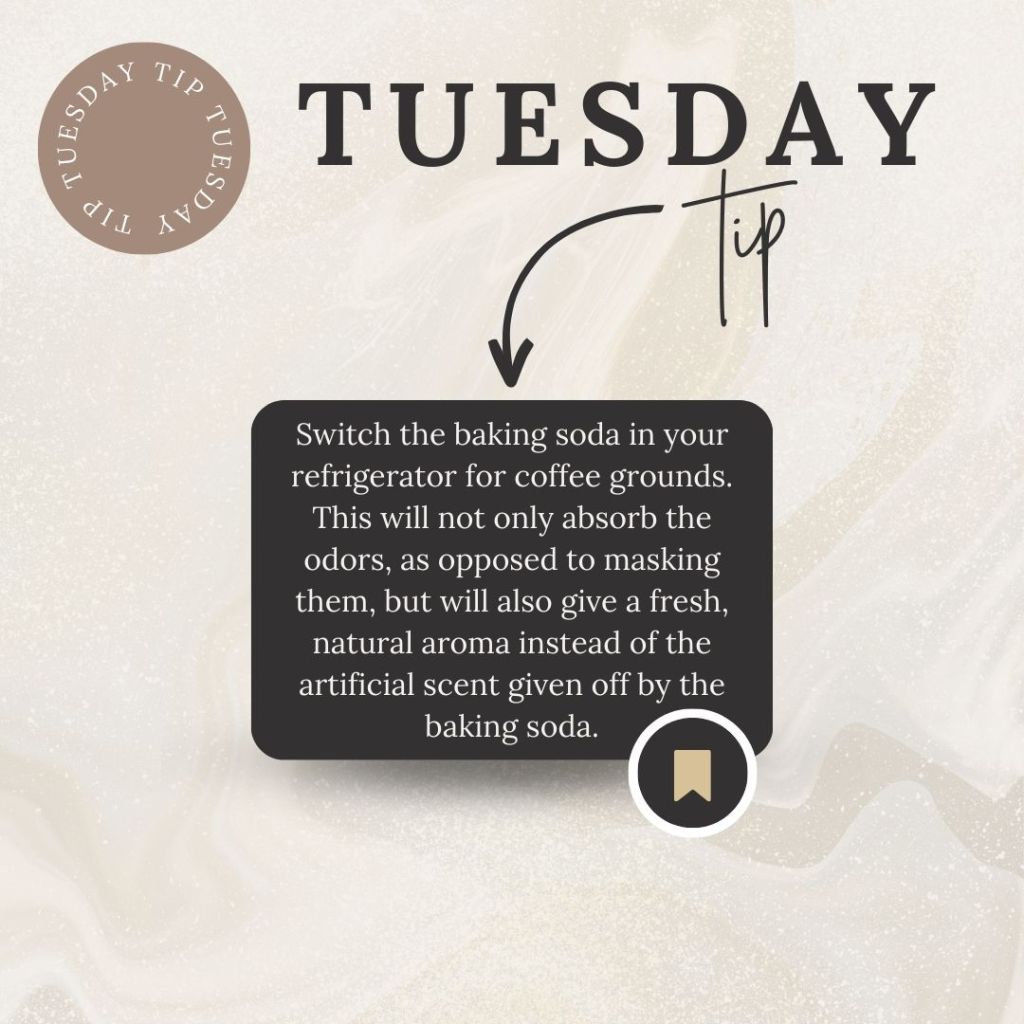 Tip Tuesday: Fridge Deodorizer